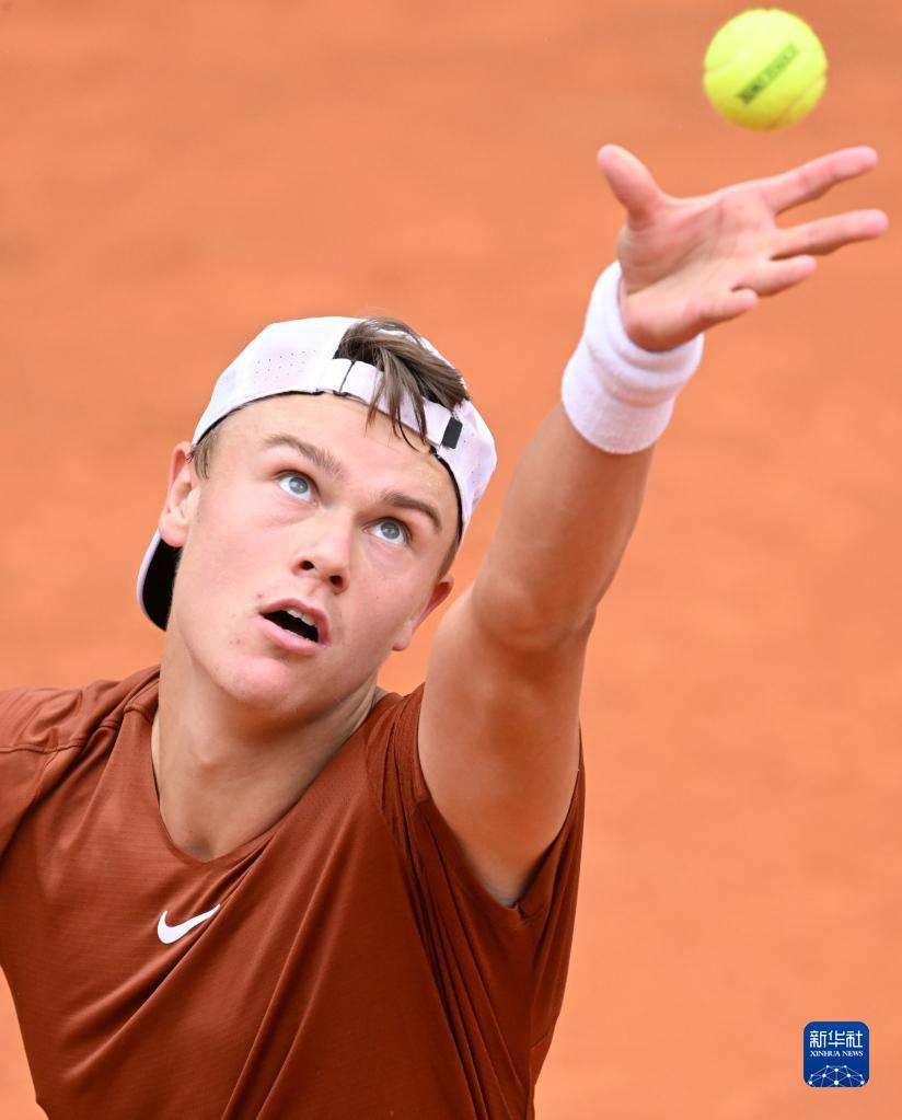 甸甸的荣誉 甸甸的荣誉